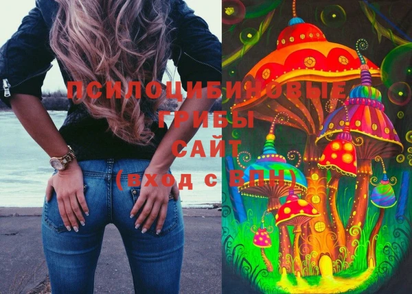 ешки Беломорск