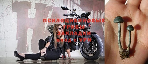 мет Белокуриха