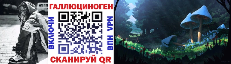 где найти наркотики  ссылка на мегу зеркало  Галлюциногенные грибы прущие грибы  Владивосток 